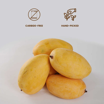 MANGO (آم)